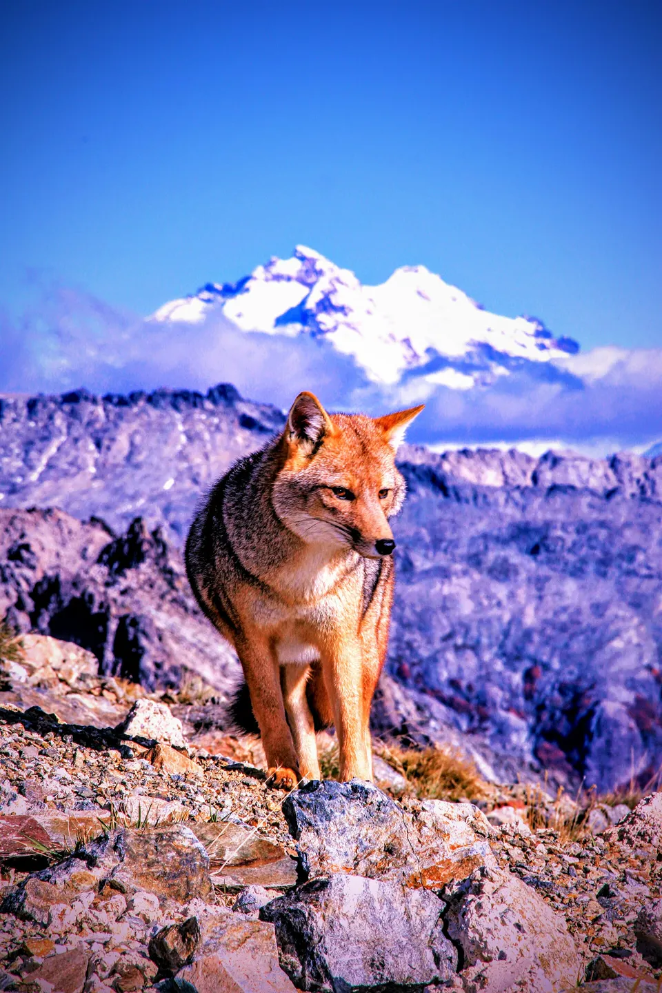 Cerro Catedral, Bariloche