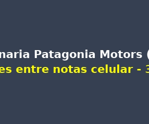 Publicidad: Concesionaria Patagonia Motors